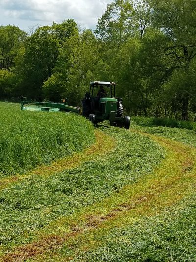 tractor cutting tall grass