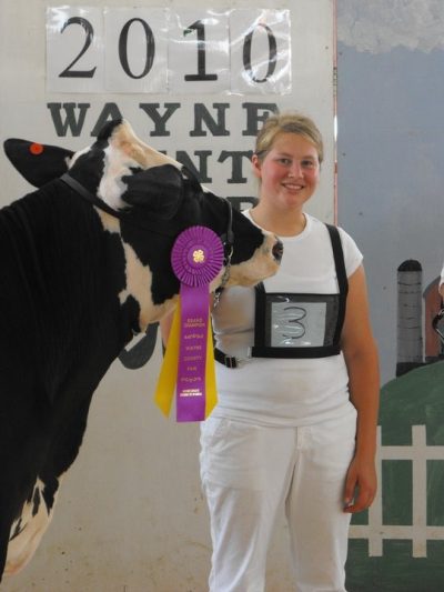 award winning cow