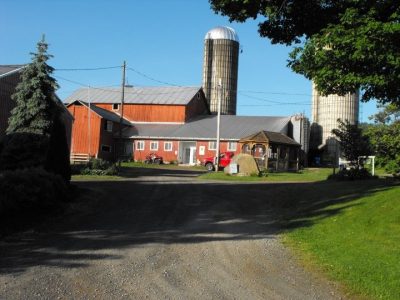 farm with large silos